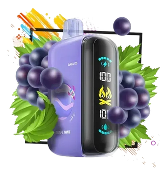 Elf Bar RAYA D3 25000 Grape Mint (Виноград М'ята) 459 фото